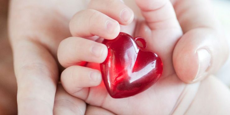 What are the Causes of Congenital Heart Diseases?